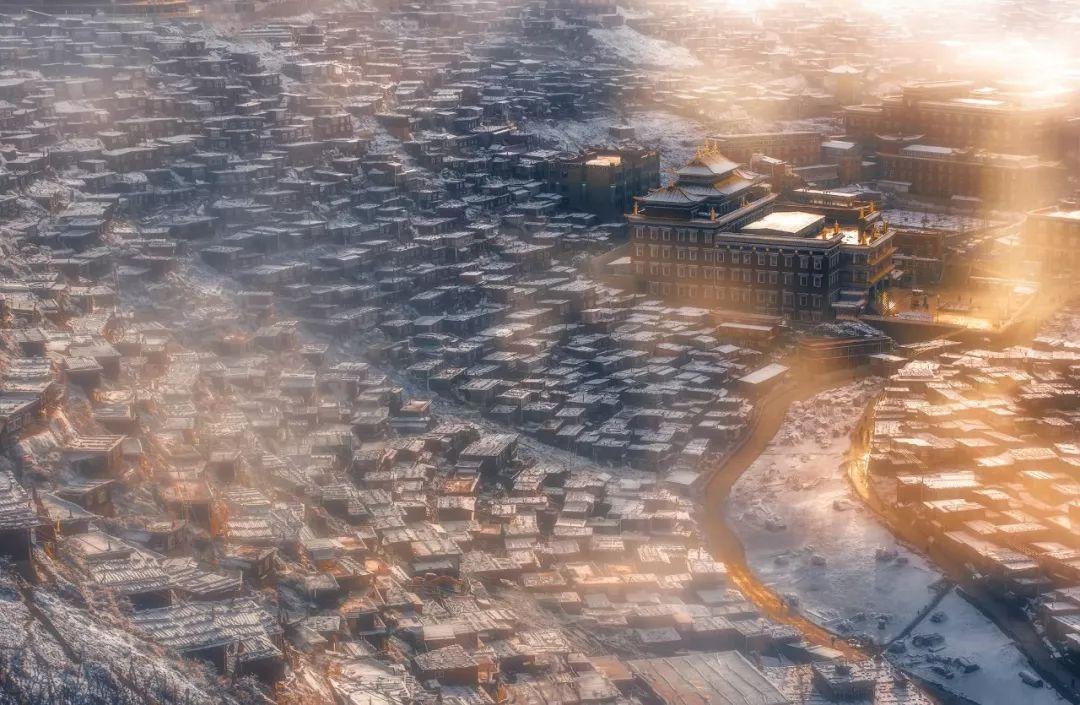 图片中的动漫人物是?-专业问答网站