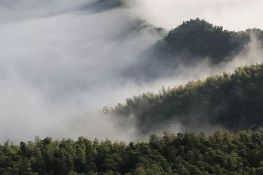 短篇小说和长篇小说能反映相同主旨,那么长篇小说存在的意义是什么?-寻找知识的新星球
